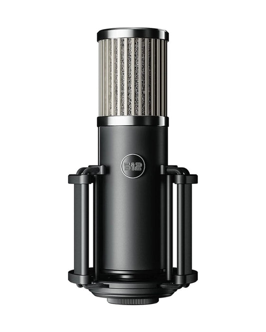 512 AUDIO Skylight Large-Diaphragm Cardioid Condenser Microphone