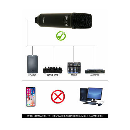 Hawk Athena Studio Condenser Microphone