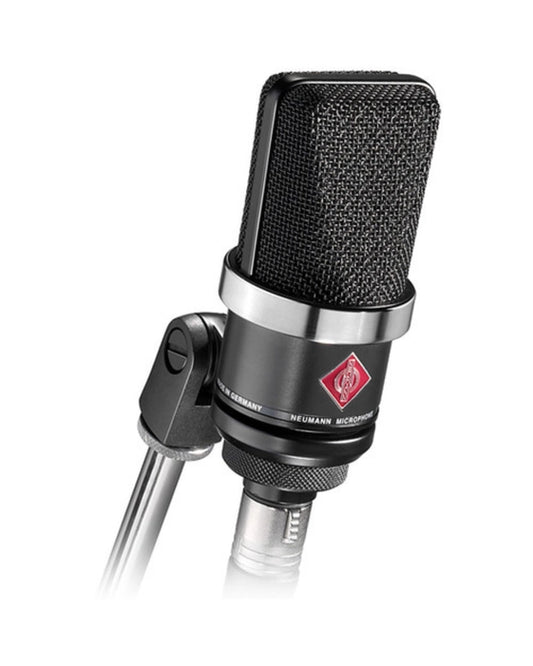 Neumann TLM 102 Large-Diaphragm Cardioid Condenser Microphone