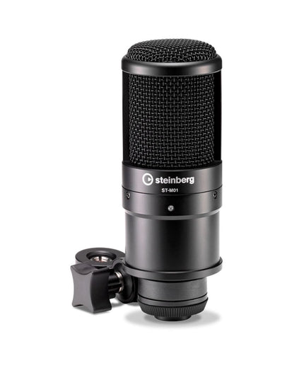 Steinberg UR12B PS Podcast Starter Pack