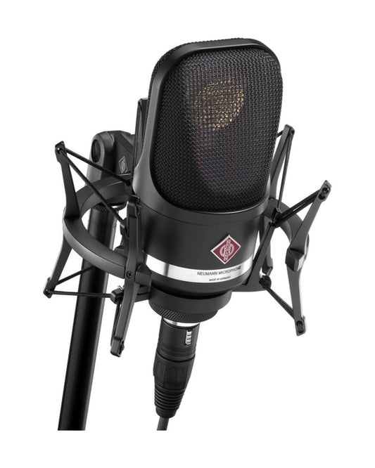 Neumann TLM 107 Multipattern Condenser Microphone (Studio Set)